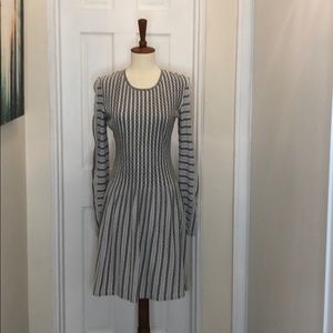 BCBGMAXAZRIA skater a line dress